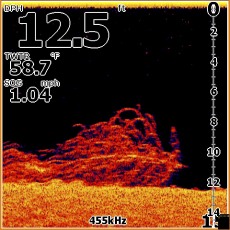 Elite_DSI_Screen.jpg Elite_DSI_Screen.jpg
