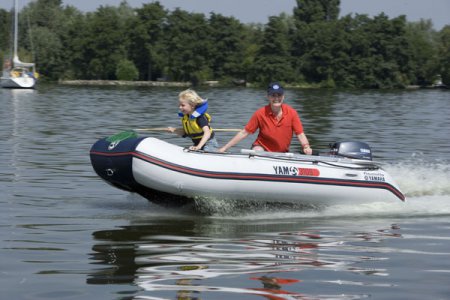 yam_310s.jpg
